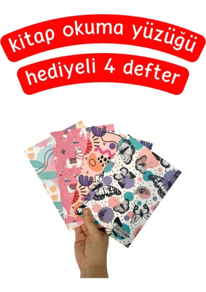 Pembe Renk ve Tonları Figürlü 4'lü Defter Seti