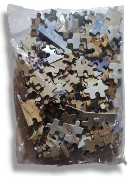 250 Parça Puzzle Inci Küpeli Kız modelleri