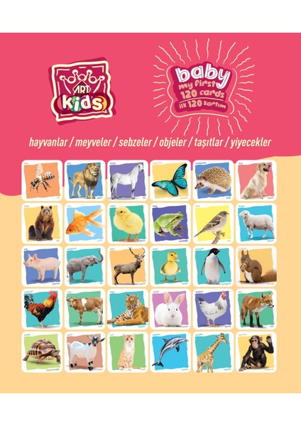 Baby Ilk Eğitici Kartlarım indirimleri