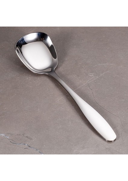 Paslanmaz Çelik 6 Adet Silver Yemek Salata Tatlı Kaşığı CIN756BY-6 modelleri