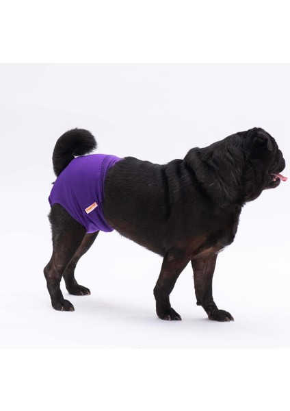 Mor Kedi-Köpek Çamaşırı Regl Kilodu