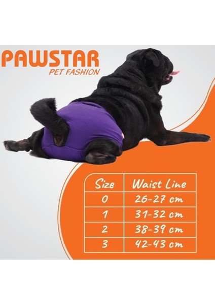 Mor Kedi-Köpek Çamaşırı Regl Kilodu fırsatları