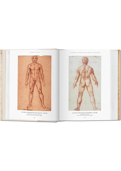 Leonardo da Vinci The Graphic Work fiyatları