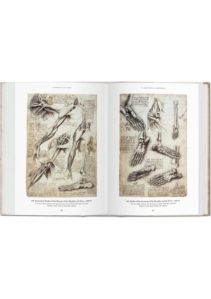 Leonardo da Vinci The Graphic Work