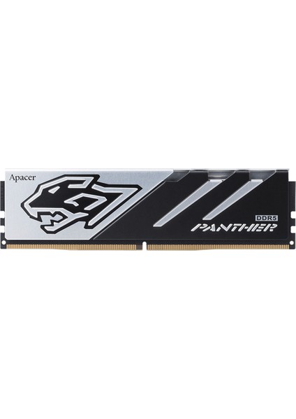 Panther 16B (1X16GB) 6200MHZ CL40 Ddr5 Gaming Ram (AH5U16G62C5327BAA-1)