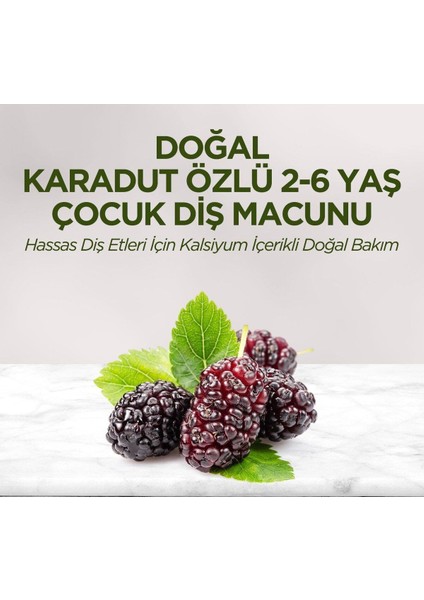Doğal Karadut Özlü 2-6 Yaş Çocuk Diş Macunu 60 ml 2 Adet