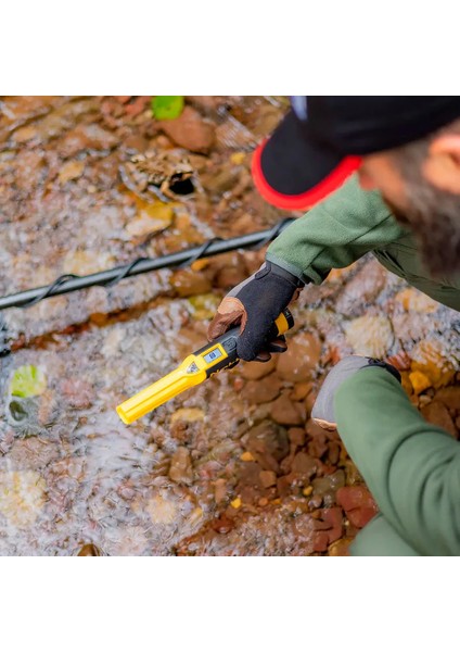 Nokta- Makro Acuupoint Pointer