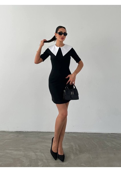 Bebe Yaka Mini Elbise fiyatları