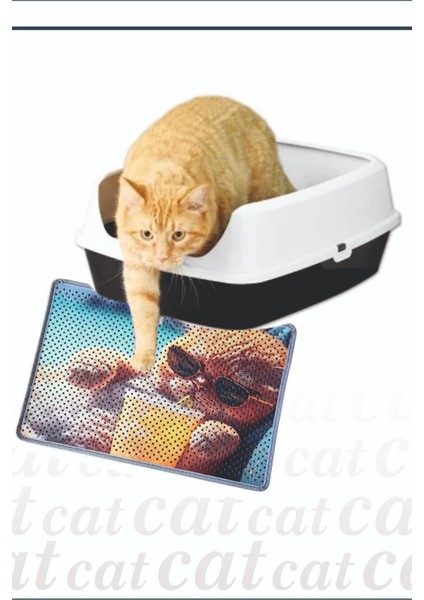 Kedi Kumu Paspası, Delikli Kedi Tuvaleti Paspası, Dijital Baskılı Kedi Paspası