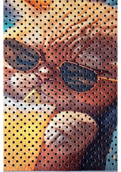 Kedi Kumu Paspası, Delikli Kedi Tuvaleti Paspası, Dijital Baskılı Kedi Paspası fiyatları