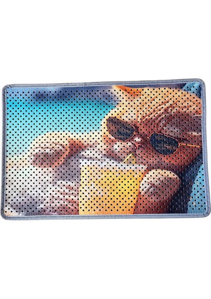 Kedi Kumu Paspası, Delikli Kedi Tuvaleti Paspası, Dijital Baskılı Kedi Paspası modelleri