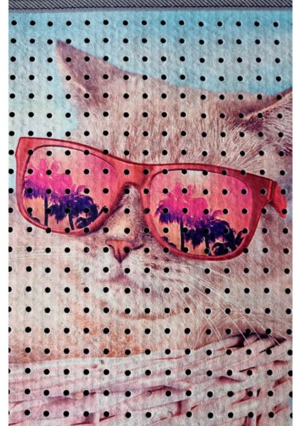 Kedi Kumu Paspası, Delikli Kedi Tuvaleti Paspası, Dijital Baskılı Kedi Paspası fiyatları