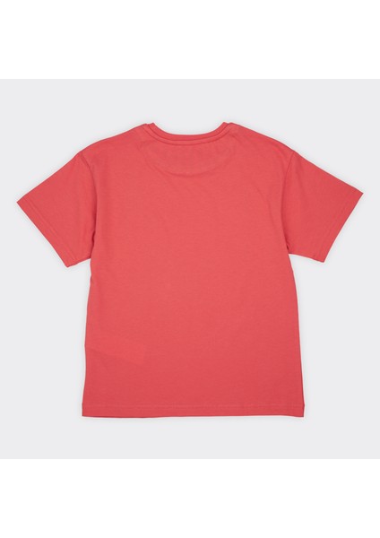 Erkek Çocuk Baskılı Tişört fiyatları