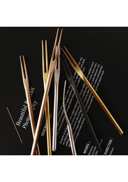 B1 Stili Paslanmaz Çelik Meyve Çatalı Japon Tarzı Ev Iki Dişli Pasta Tatlı Çatalı Minimalist Kokteyl Minderleri (Yurt Dışından) fırsatları