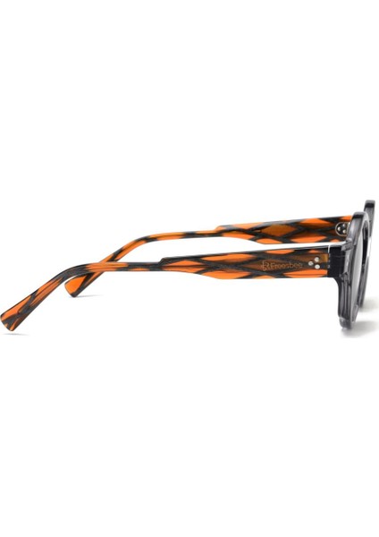 Frsb Freesbee Windsor Asetat Unisex Güneş Gözlüğü