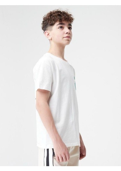 Erkek Çocuk Pamuklu Yazılı Tshirt modelleri