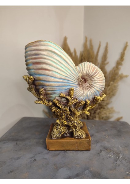 Deniz Kabuğu Istiridye Mercan Polyester Dekoratif Obje fiyatları