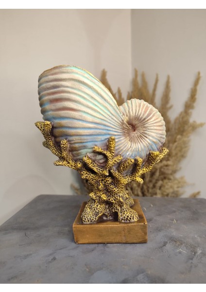 Deniz Kabuğu Istiridye Mercan Polyester Dekoratif Obje modelleri