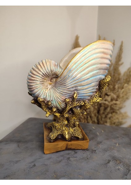Deniz Kabuğu Istiridye Mercan Polyester Dekoratif Obje fırsatları