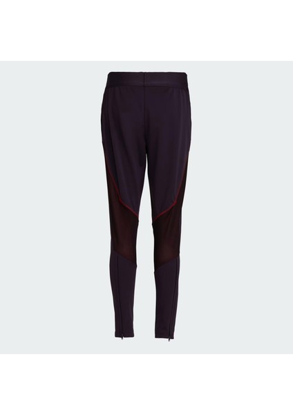 Team Türkiye Kadın Eşofman Altı fiyatları