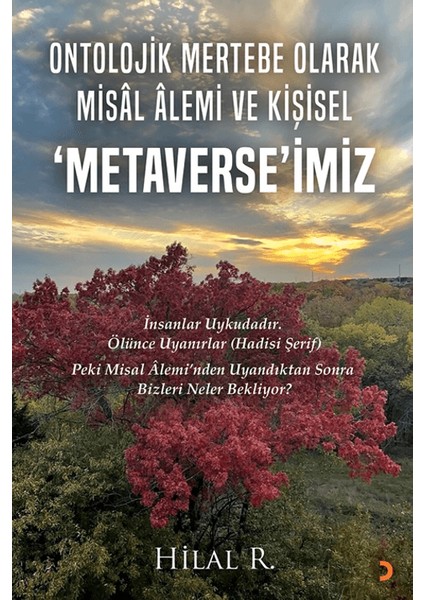 Ontolojik Mertebe Olarak Misal Alemi ve Kişisel Metaverse’imiz - Hilal R.