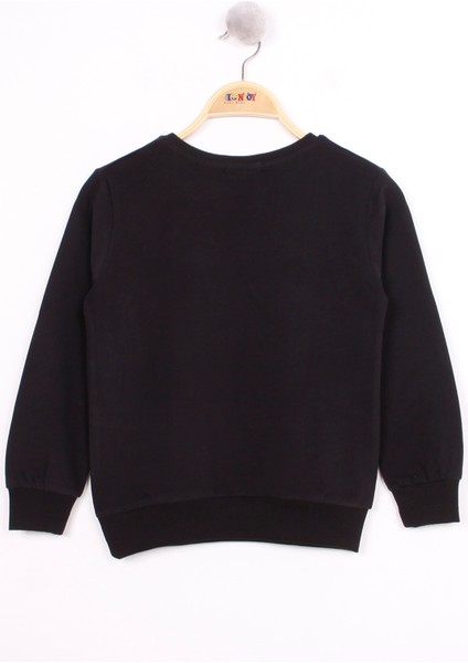 Toontoy Erkek Çocuk Uçak Baskılı Sweatshirt fiyatları