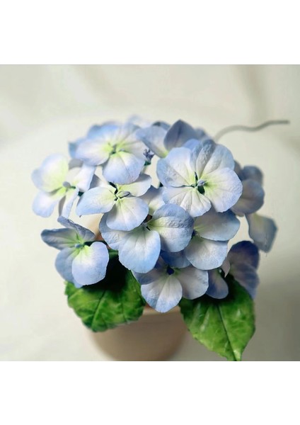 M2173 Tarzı Dıy Ortanca Çiçek Veiner Silikon Kalıp Yaprak Kalıp Petal Fondan Formu Sugarcraft Şeker Kek Dekorasyon Araçları Bakeware (Yurt Dışından) fırsatları