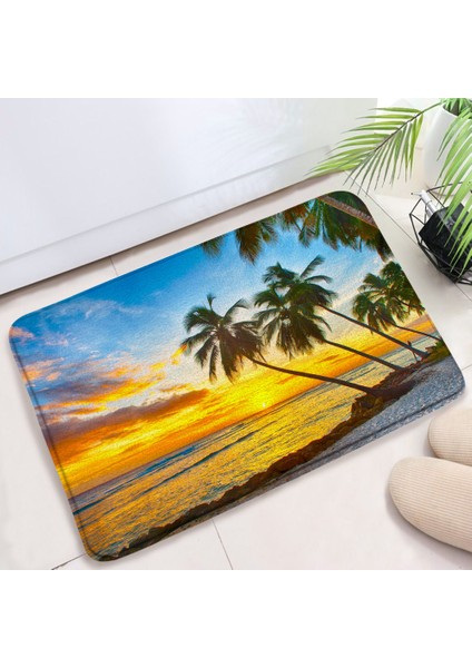 5164K-DD Stili 45X75CM Kum Plaj Mutfak Banyo Paspas Deniz Kabuğu Denizyıldızı Halılar Ev Odası Dekor Kaymaz Yumuşak Banyo Halıları Giriş Paspas Ayak Mat (Yurt Dışından)