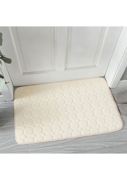 Pembe Tarzı 40X60CM Banyo Banyo Paspas Kaymaz Mercan Kadife Ped Halılar Lavabo Arnavut Kaldırımı Kabartmalı Küvet Yan Zemin Halı Duş Odası Halı (Yurt Dışından) fırsatları