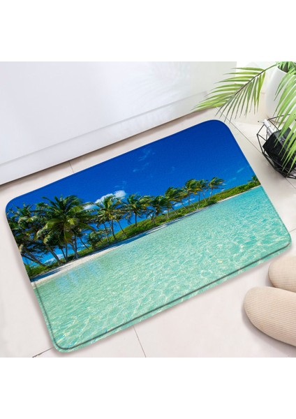 Yaci Shop 82444J-DD Stili 40X60CM Kum Plaj Mutfak Banyo Paspas Deniz Kabuğu Denizyıldızı Halılar Ev Odası Dekor Kaymaz Yumuşak Banyo Halıları Giriş Paspas Ayak Mat (Yurt Dışından)