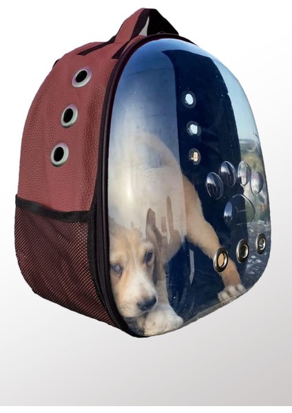 Kedi Taşıma Çantası El ve Sırt Çantası 6 Hava Kanalı 2 Fileli Cep Kedi Taşıma Çantası