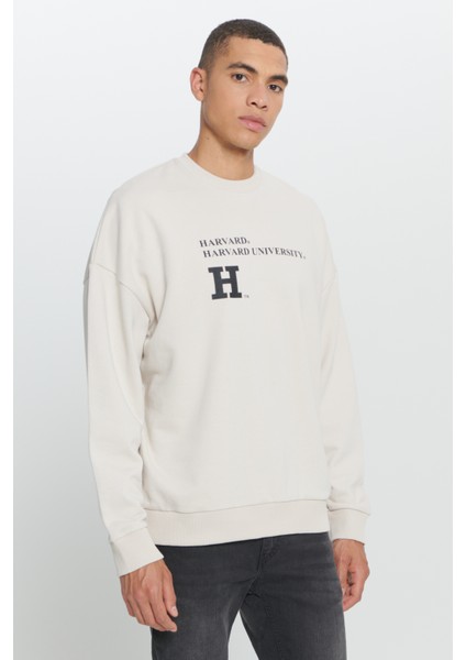 Harvard Lisanslı 3 İplik Pamuklu Oversize Fit Bol Kesim Erkek Açık Bej Bisiklet Yaka Sweatshirt