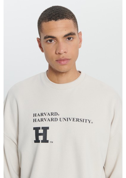 Harvard Lisanslı 3 İplik Pamuklu Oversize Fit Bol Kesim Erkek Açık Bej Bisiklet Yaka Sweatshirt