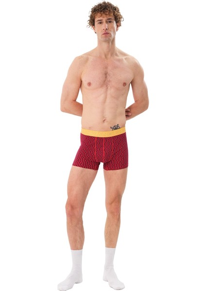 Desenli Erkek Pamuklu Boxer - Labyrinth