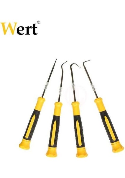 Wert 2690 Delici Biz Iğnesi ve Kanca Seti, 4 Parça