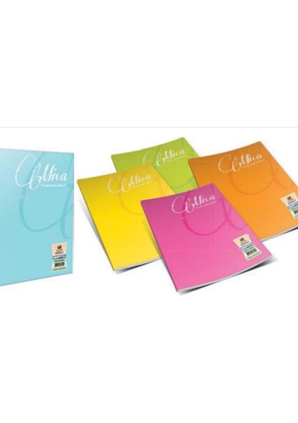 Mica Plastik Kapak Defter A4 Çizgili 100 Yaprak (2488)