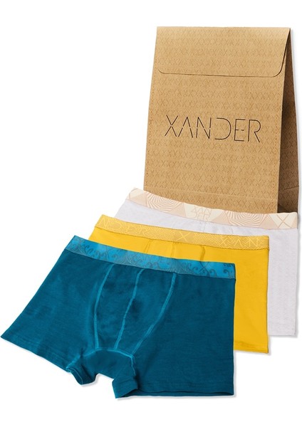 3'lü Erkek Pamuklu Boxer - Xpack 4