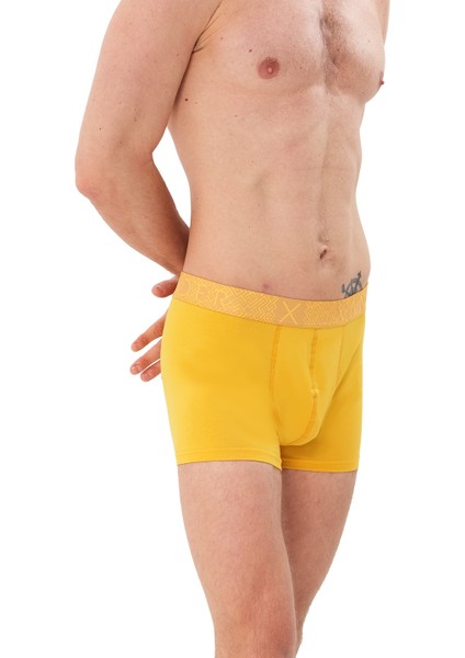 3'lü Erkek Pamuklu Boxer - Xpack 5 modelleri