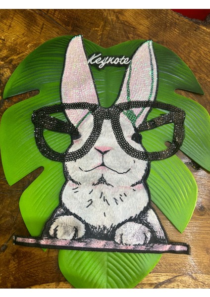 39X27 cm Peluş Payetli Gözlüklü Tavşan Arma Dikiş Aplike modelleri