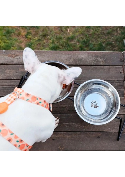 Stone Paslanmaz Çelik Ergonomik Antibakteriyel Küçük Orta Büyük Irk Köpek Mama ve Su Kabı