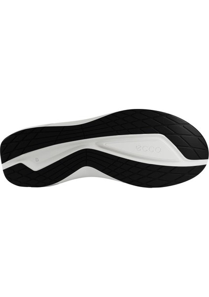 Biom 2.2 M Ombre modelleri