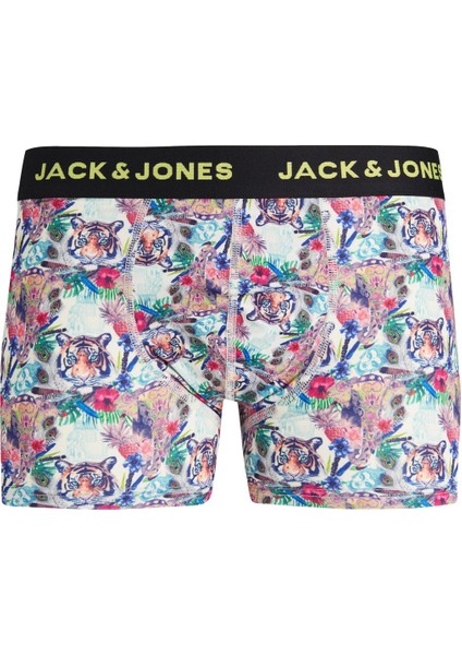Erkek Boxer 12250367 12250367001