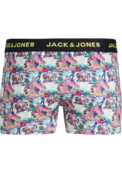 Erkek Boxer 12250367 12250367001