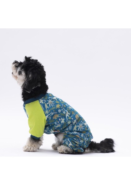 Dinosaur Kedi Köpek Pijaması Kedi Köpek Tulumu Kedi Köpek Kıyafeti modelleri