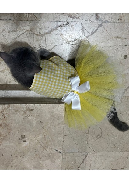 Sarı Beyaz Kareli Tüllü Kedi Köpek Kıyafeti Elbisesi fiyatları