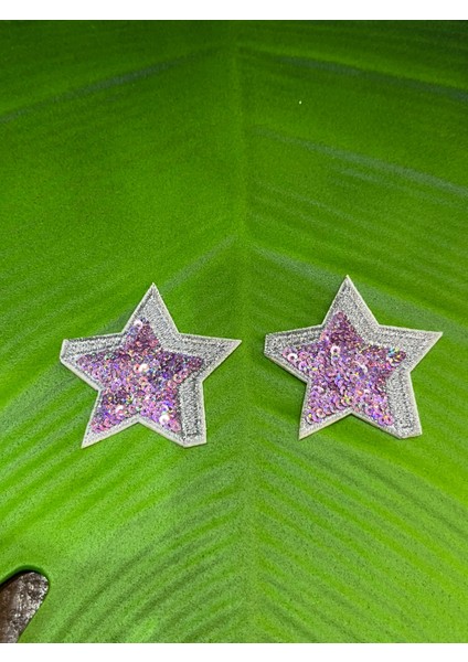 5x5 cm 2 Adet Ütü Ile Yapışan Pembe Yıldız Arma Dikiş Aplike