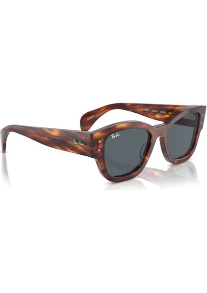 Rayban RB7681S 954R5 52 Güneş Gözlüğü fırsatları