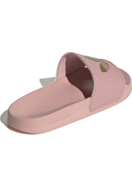 Lila - Altın Kadın Terlik GZ6198 Adılette Lıte W Beden: 38 modelleri