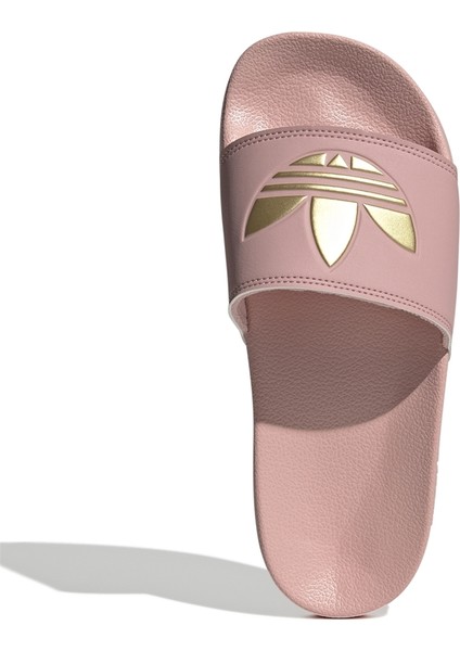 Lila - Altın Kadın Terlik GZ6198 Adılette Lıte W Beden: 38 fırsatları