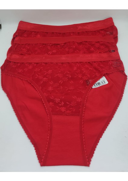 M Kadın Slip Külot 3lü Paket